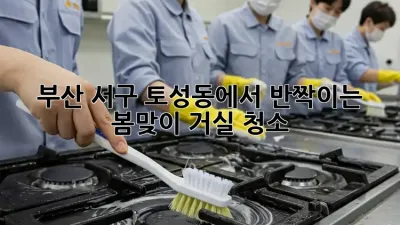 부산 서구 토성동에서 반짝이는 봄맞이 거실 청소!